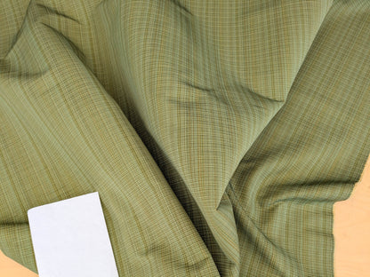 Scalamandre Old World Weavers Umbria Grass Green Strie Jacquard Woven Cotton MSRP USD342/y
