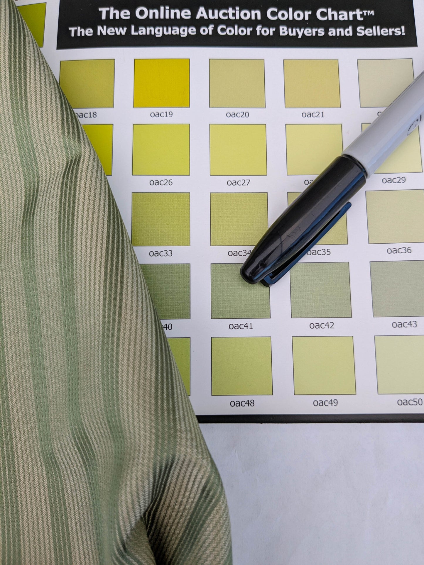 Scalamandre Chopin Stripe Reseda Green Bay Grey Green Silk Cotton MSRP USD 240/Yard