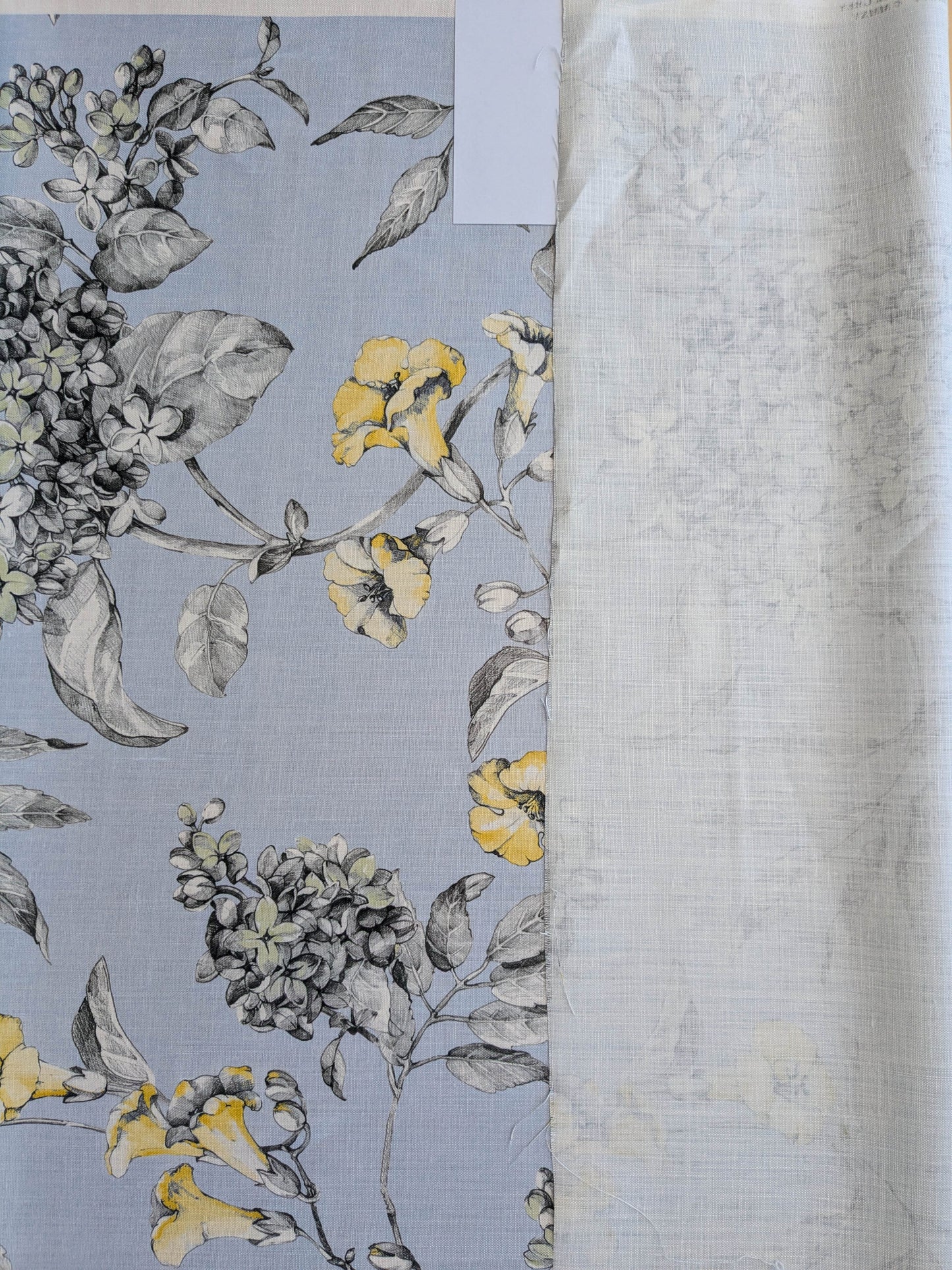 Scalamandre Merrimon in Light Blue Print Silky Linen Fragrant Summer lilac trumpet flower or jimsonweed MSRP USD 346/y