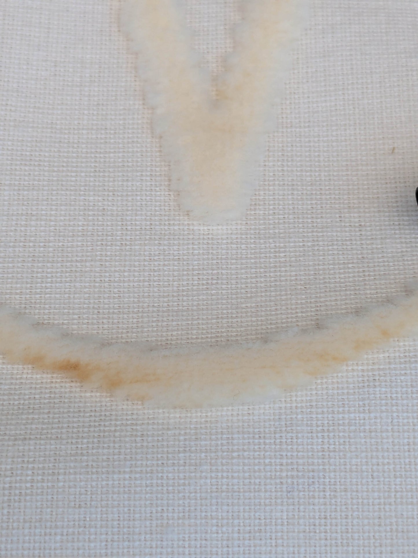 3 yards Scalamandre Fonthill Velours Savoie Cream White Cut Velvet 100% Cotton Old World Weavers MSRP USD 304/Y Minor Defect