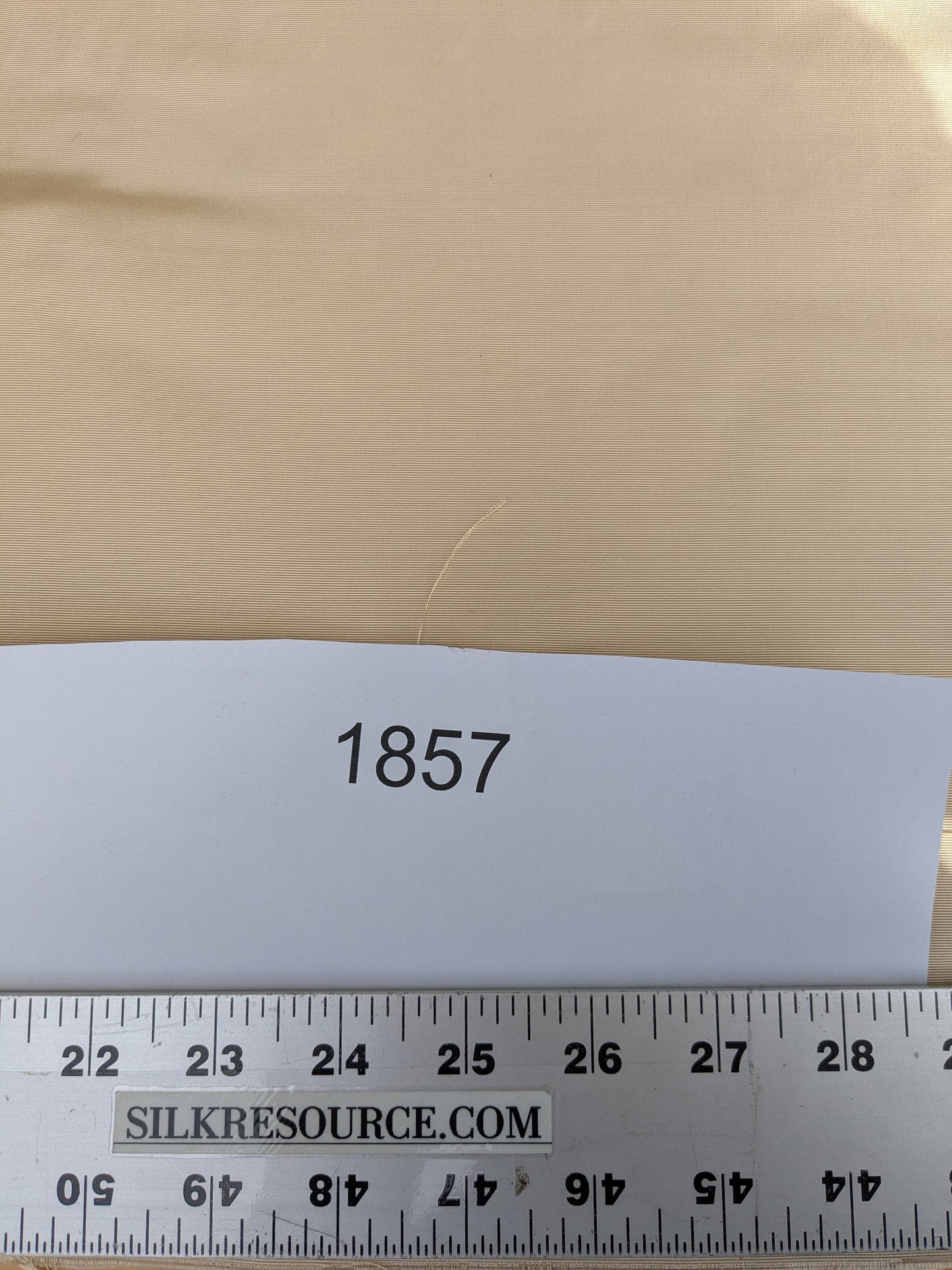 Corringham Beeswax Thick Crisp Silk Faille High End Fabric - Beige - By The Yard