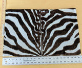 13" x 21" Scalamandre Zebra - Outdoor Brownk & White Zebra Skin Pattern Animal Skin MSRP USD 198