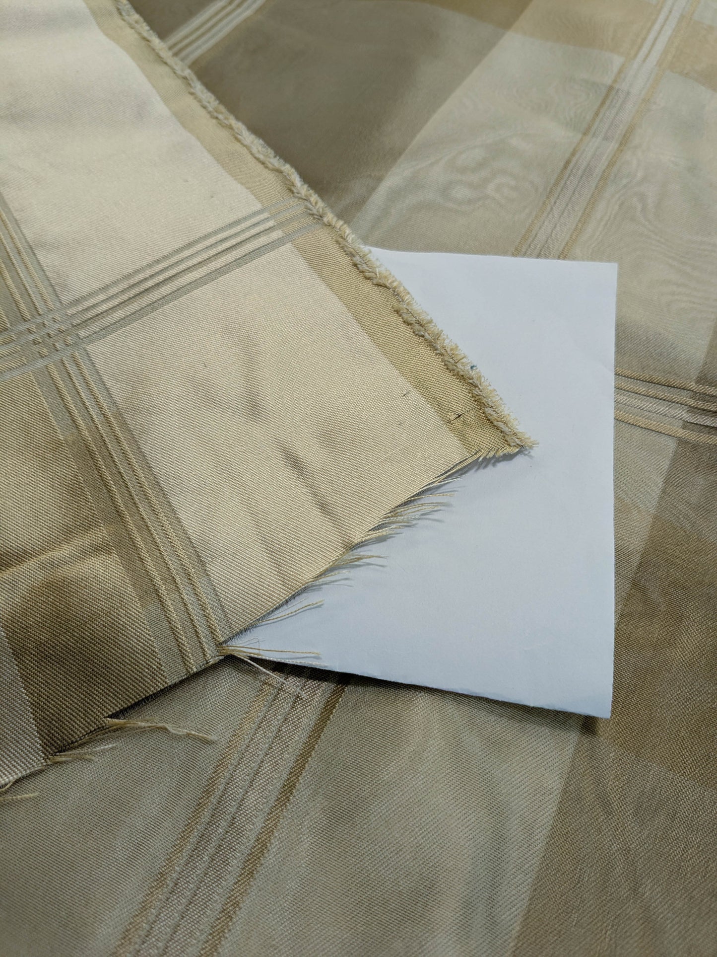 Scalamandre Iridescent Plaid in Champagne Cream Pale Gold Silk Organza Semi-sheer - By The Yard
