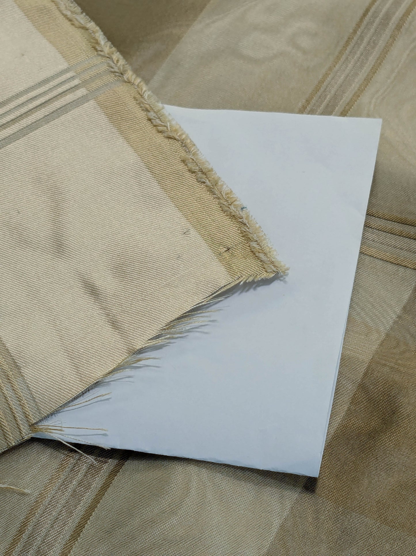 Scalamandre Iridescent Plaid in Champagne Cream Pale Gold Silk Organza Semi-sheer - By The Yard