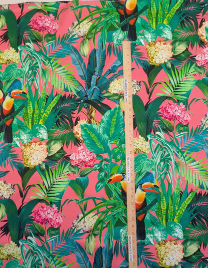 Scalamandre Blooming Paradise Tropical Bird Toucan Palm Banana Cotton Print -Hot Pink - By The Yard