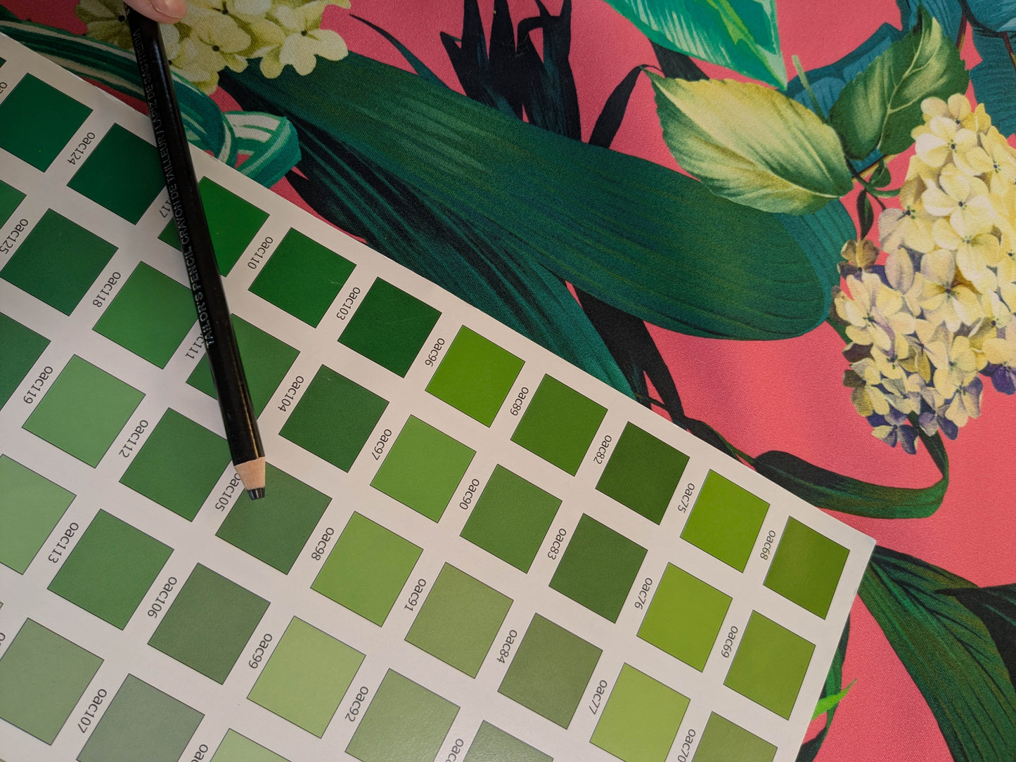 Scalamandre Blooming Paradise Tropical Bird Toucan Palm Banana Cotton Print -Hot Pink - By The Yard