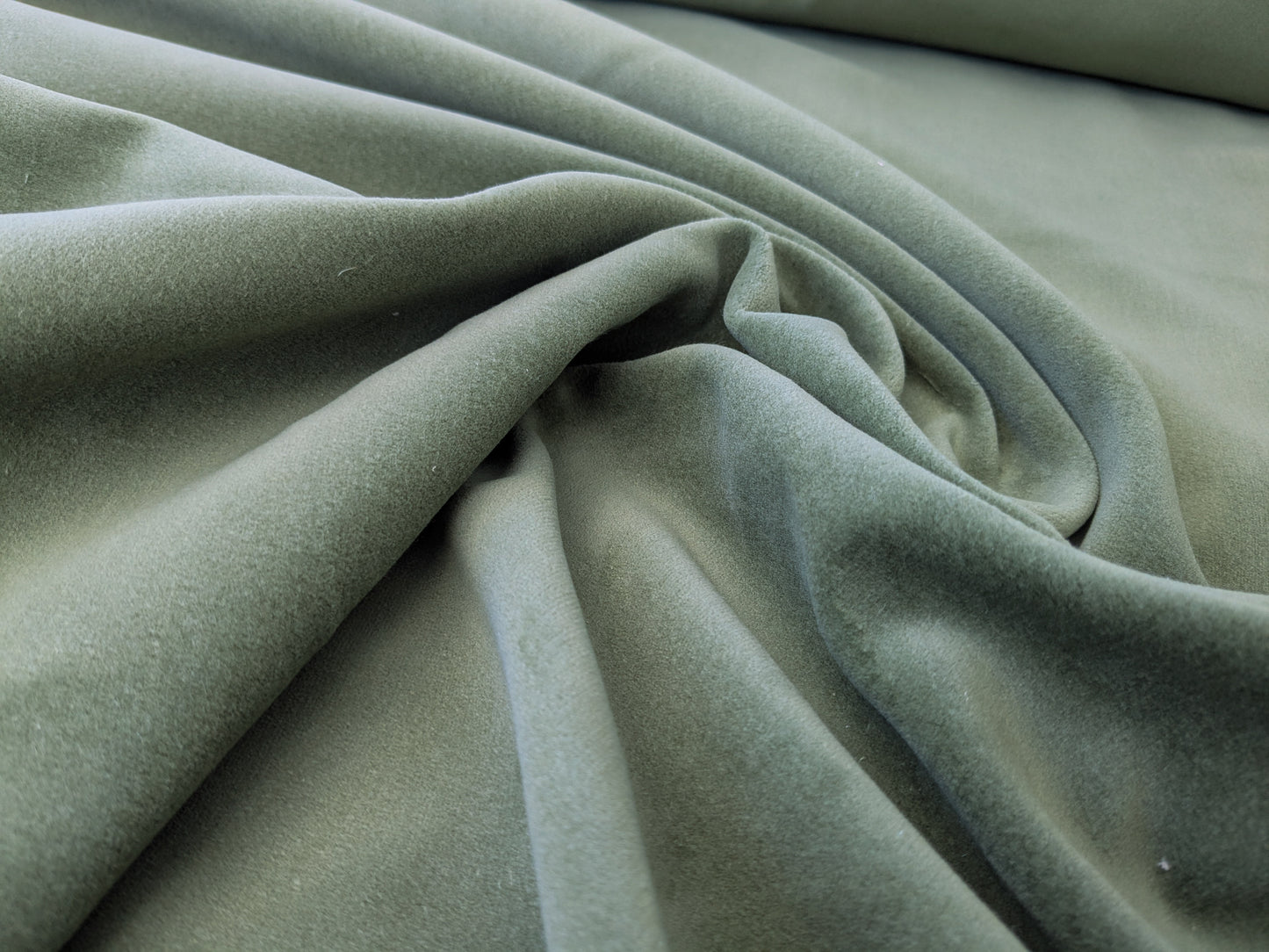 Designer High End Woodland Velvet in Golden Grass Green 100% Cotton Velvet By yard
