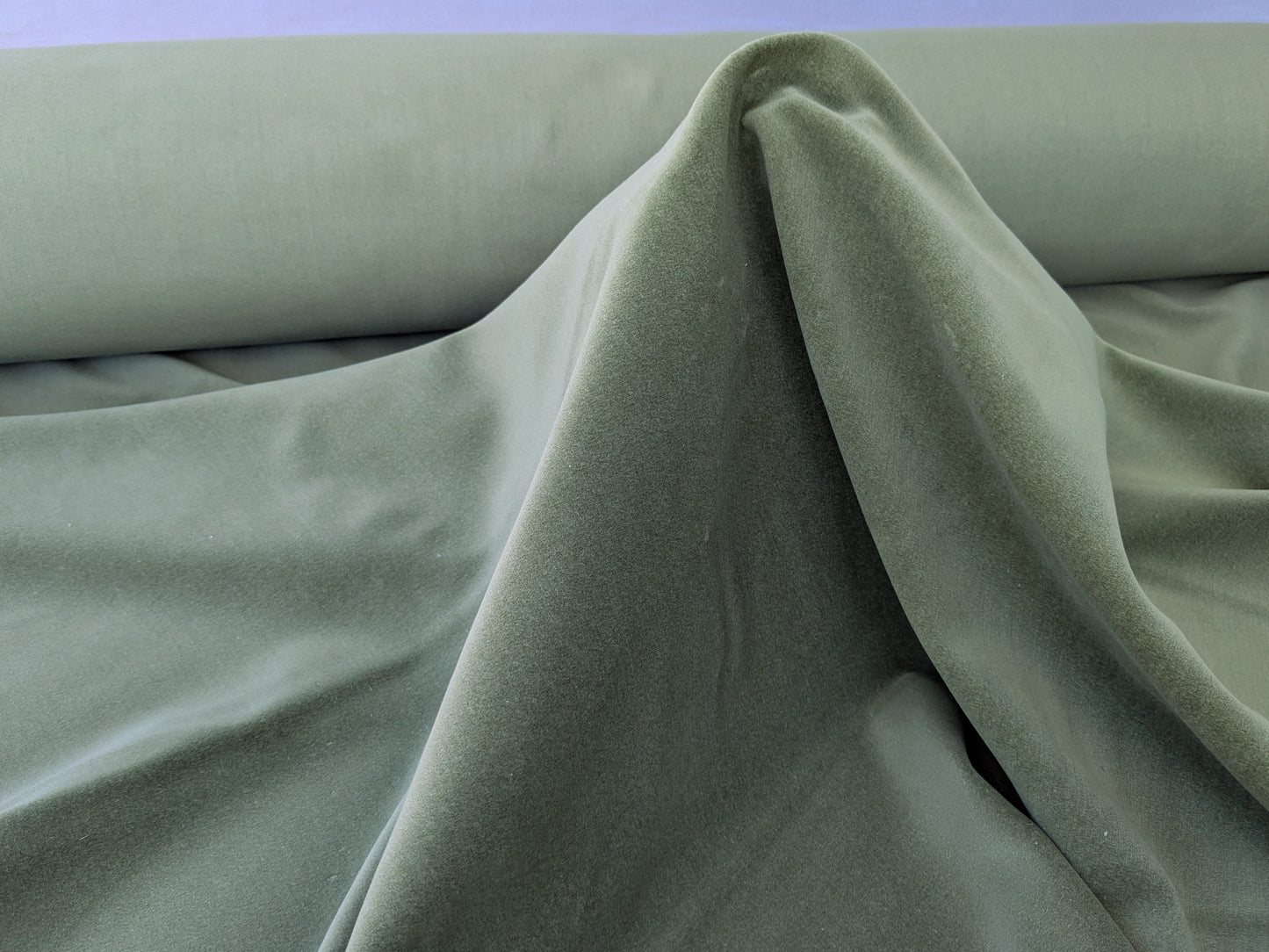 Designer High End Woodland Velvet in Golden Grass Green 100% Cotton Velvet By yard