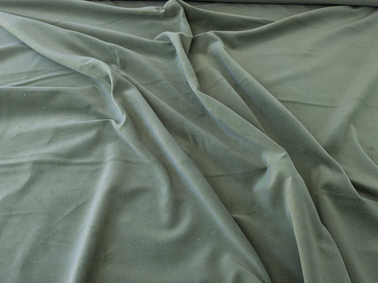 Designer High End Woodland Velvet in Golden Grass Green 100% Cotton Velvet By yard