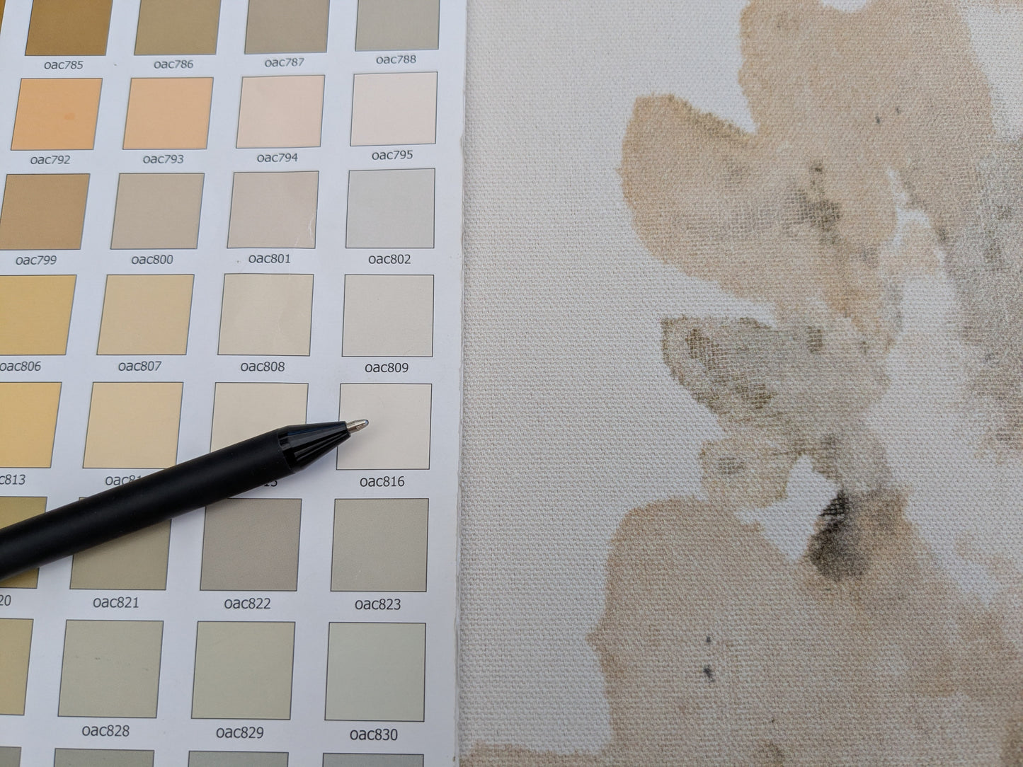 Scalamandre Lynton Almond Brown White 100% Cotton Floral - By the yard