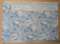 64 EV56 1.1yards Scalamandre Ascot Linen Print Blue White Floral Print MSRP USD 606/y