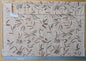 1.2 yards - Scalamandre Lelievre Mimosa Red Black on Peach Embroidered Fern Foliage Linen