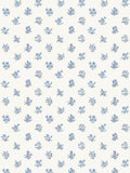 Scalamandre Summer Flora Aqua Bluejay Wallcovering