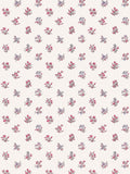 Scalamandre Summer Flora Pastel Peony Wallcovering