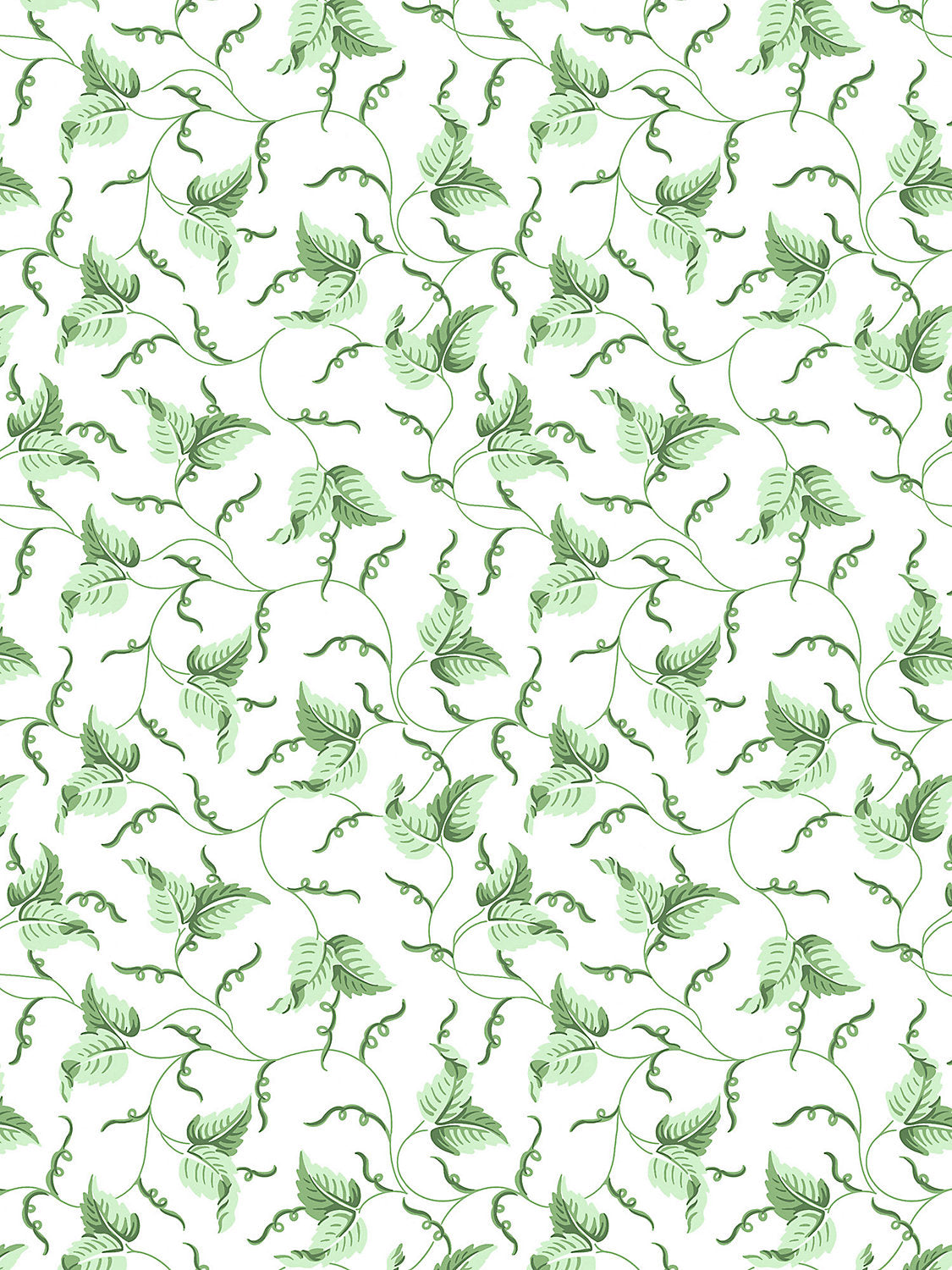 Scalamandre Angle Leaf Moss Wallcovering