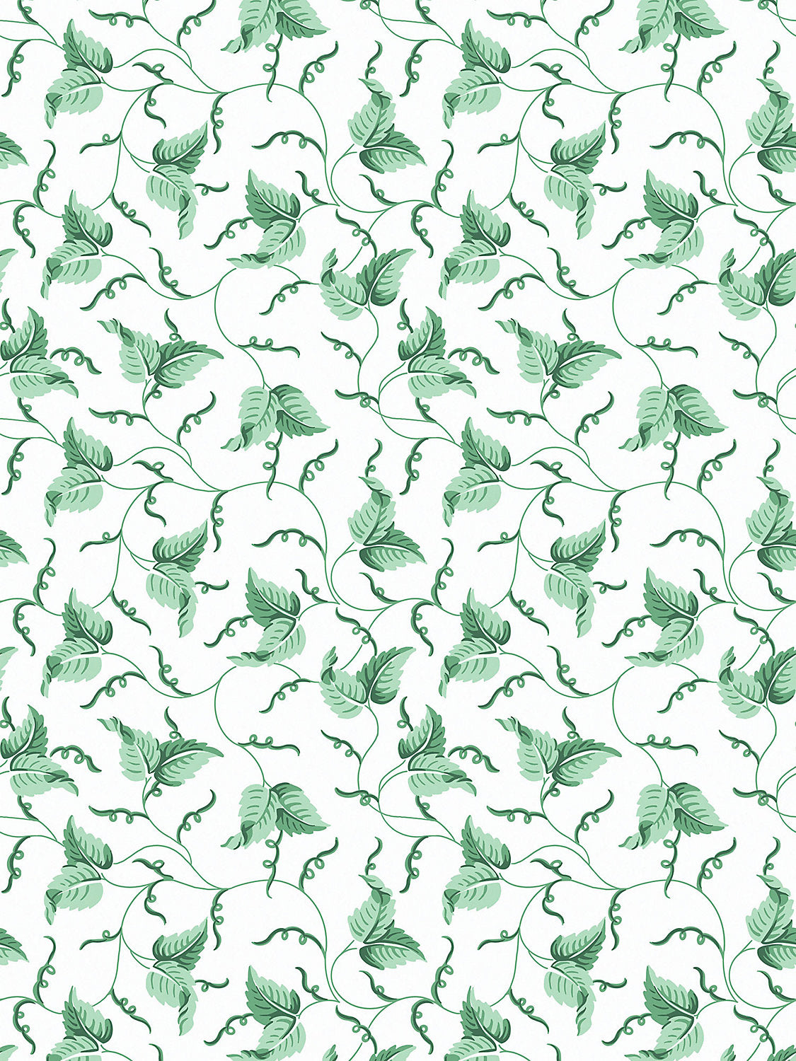 Scalamandre Angle Leaf Jade Wallcovering