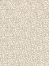 Scalamandre Bandbox Hazelnut Wallcovering