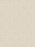 Scalamandre Bandbox Hazelnut Wallcovering