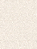 Scalamandre Bandbox Cream Puff Wallcovering
