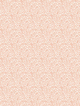Scalamandre Bandbox Peach Wallcovering
