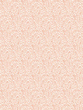 Scalamandre Bandbox Peach Wallcovering