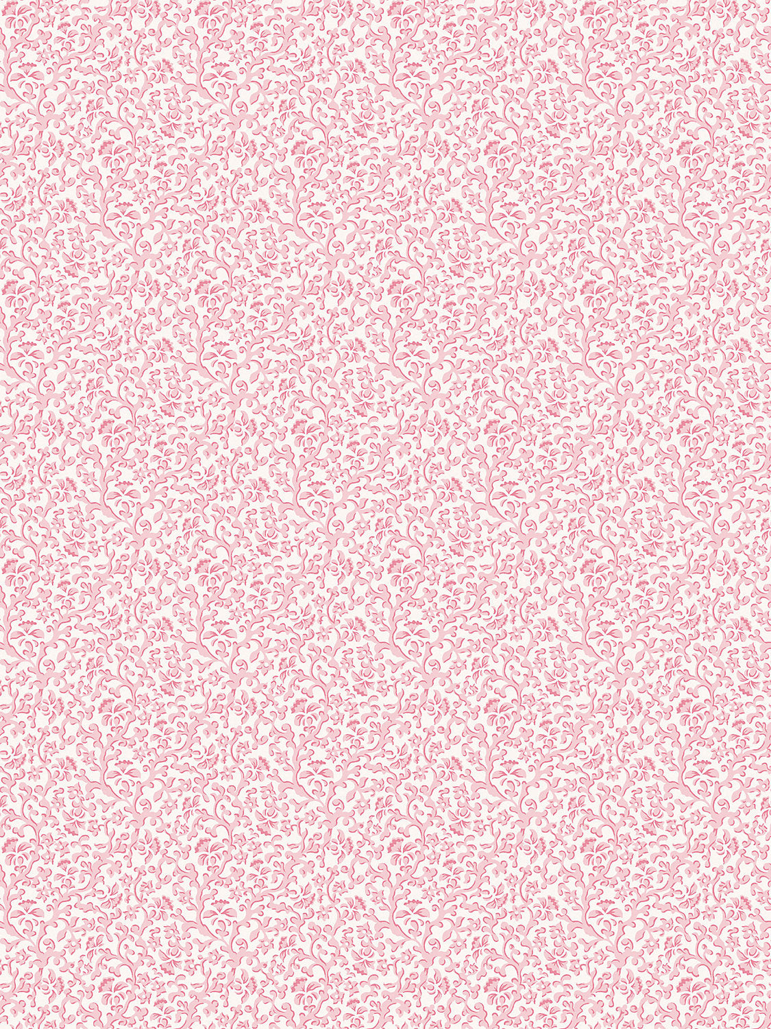 Scalamandre Bandbox Posey Wallcovering