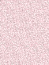 Scalamandre Bandbox Posey Wallcovering