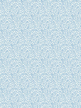 Scalamandre Bandbox Document Sky Wallcovering