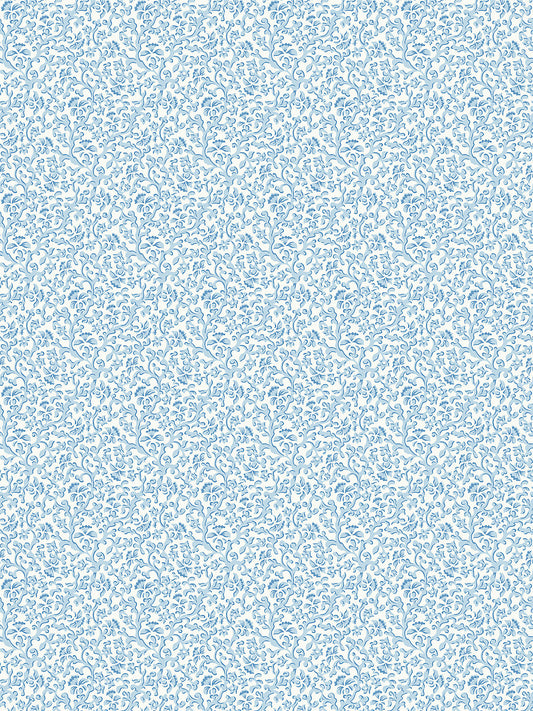 Scalamandre Bandbox Document Sky Wallcovering