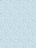 Scalamandre Bandbox Document Sky Wallcovering