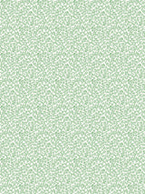 Scalamandre Bandbox Meadow Wallcovering