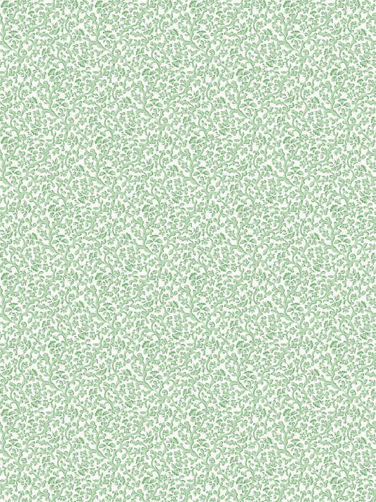 Scalamandre Bandbox Meadow Wallcovering
