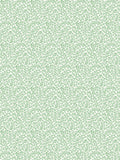 Scalamandre Bandbox Meadow Wallcovering