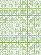 Scalamandre Ormond Fret Grass Wallcovering