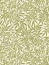 Scalamandre Willow Moss Wallcovering