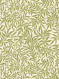Scalamandre Willow Moss Wallcovering