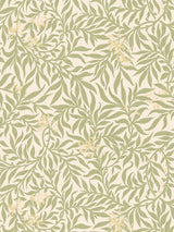 Scalamandre Honeysuckle Sage Wallcovering