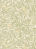 Scalamandre Honeysuckle Sage Wallcovering