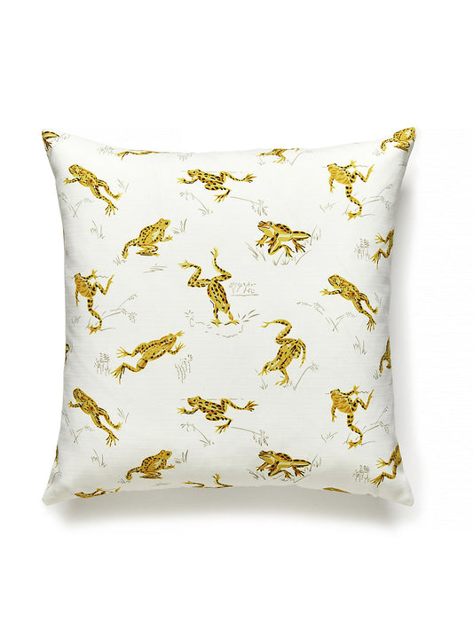 Scalamandre Calabasas Cnty Outdoor 22 X 22 - Pineapple Decorative Pillow