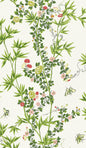 Scalamandre Jardin De Chine Spring Wallcovering