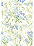 Scalamandre Lanai Lagoon Wallcovering
