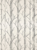 Scalamandre Everett Silk Shadow Wallcovering
