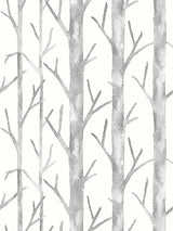 Scalamandre Everett Vinyl II Shadow Wallcovering