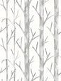 Scalamandre Everett Vinyl II Shadow Wallcovering