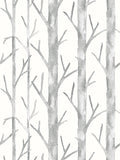 Scalamandre Everett Vinyl II Shadow Wallcovering