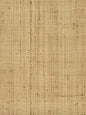 Scalamandre Imerina Reed Large Cloves Wallcovering