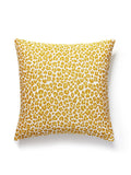 Scalamandre Backyard Bengal Outdoor 22 X 22 - Tangerine Decorative Pillow
