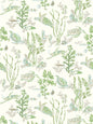 Scalamandre Garparilla Vinyl II Seaweed Wallcovering