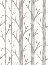 Scalamandre Everett Vinyl II Bark Wallcovering