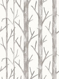 Scalamandre Everett Vinyl II Bark Wallcovering